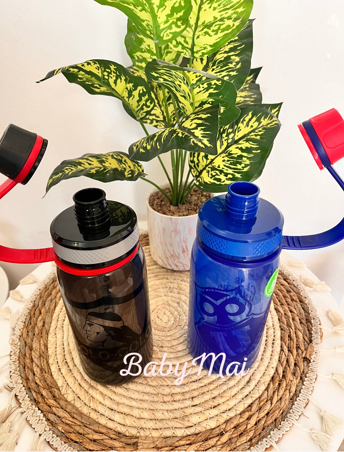 Botella Equipos