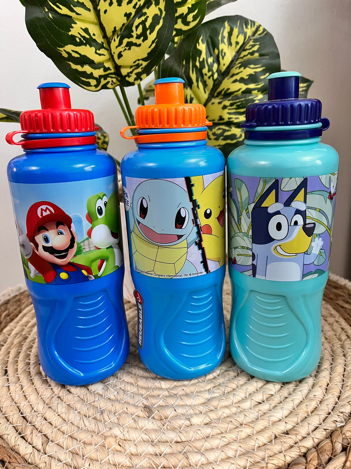 Botella Sport