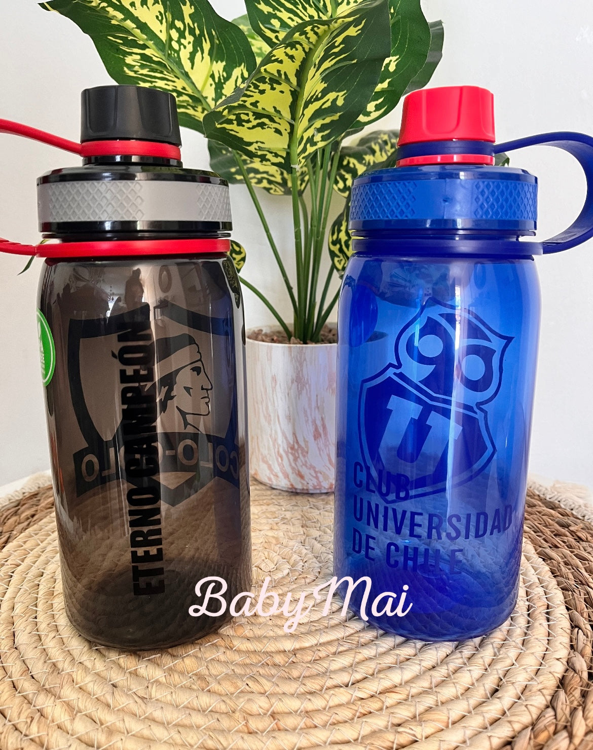 Botella Equipos