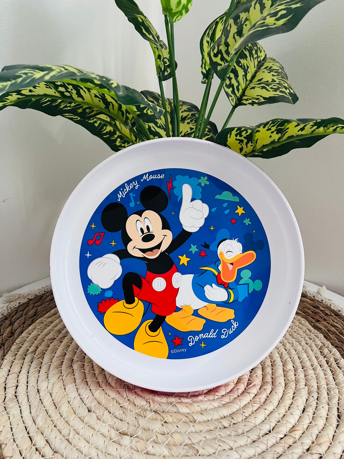 Plato Disney