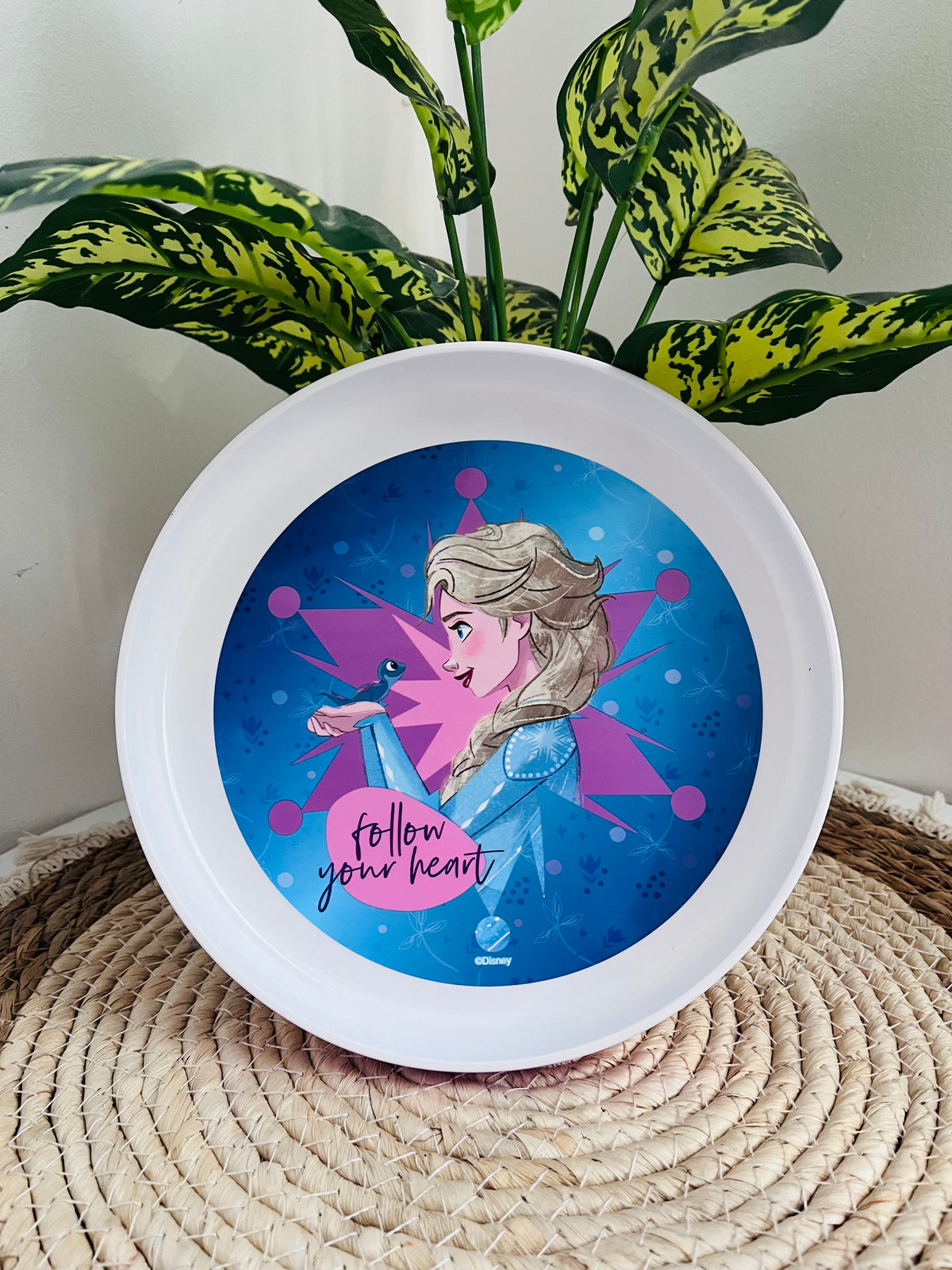 Plato Disney