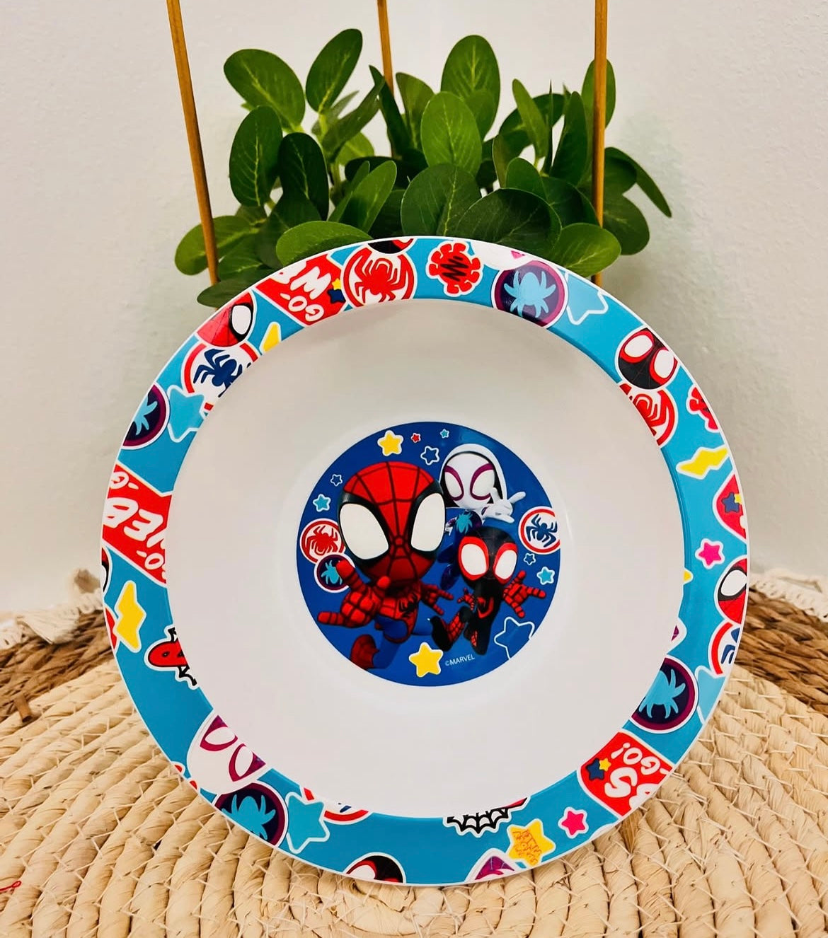 Bowl Disney