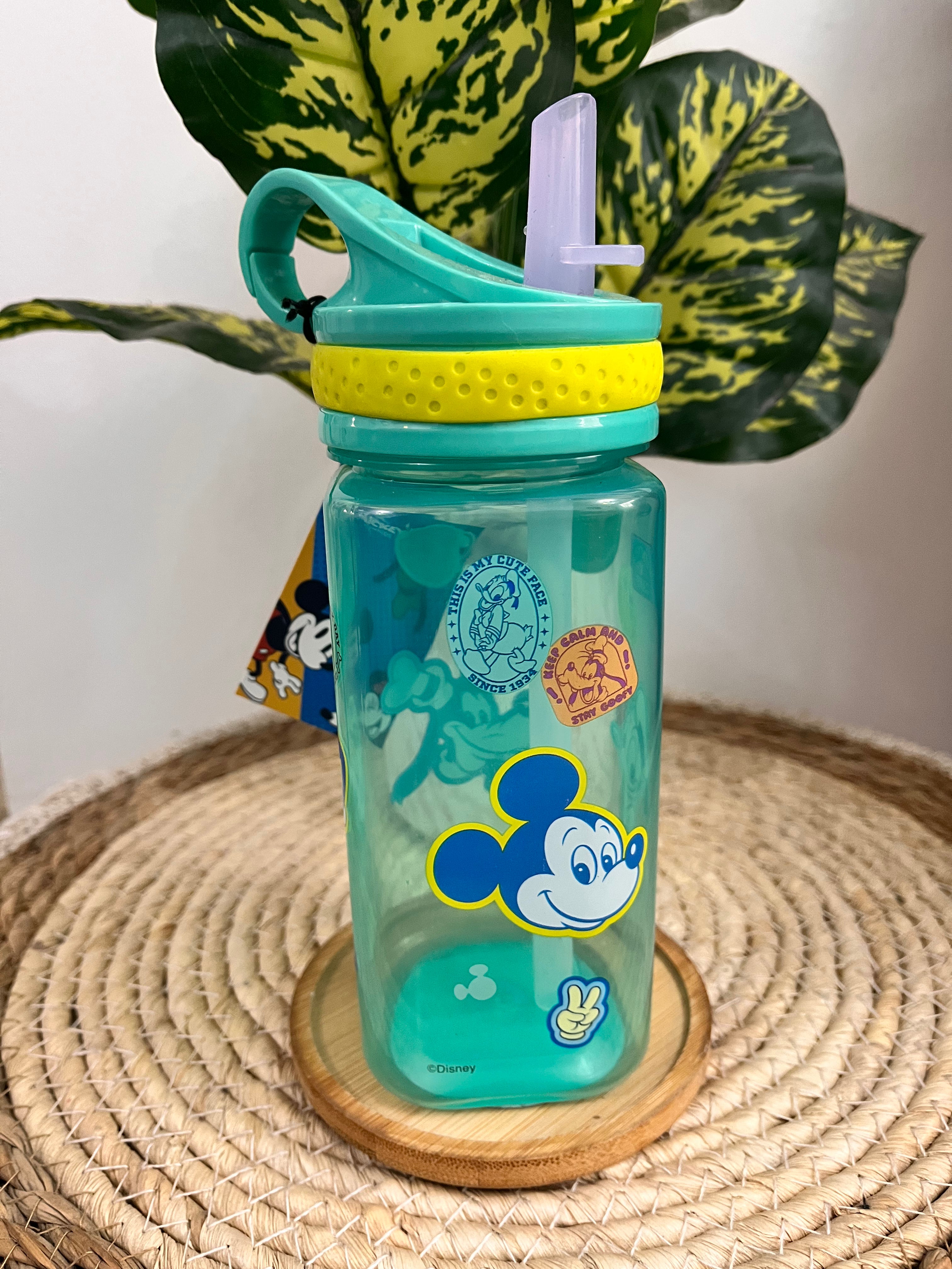 Botella Disney